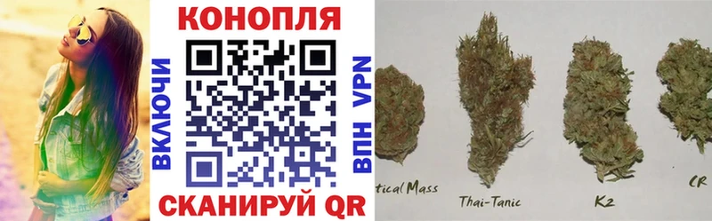 Купить  Кубинка  Марихуана SATIVA & INDICA 